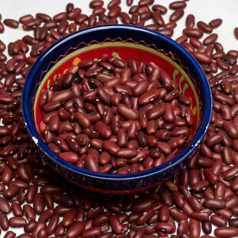 Red kidney beans in a bowl, a core ingredient in Wendy's chili gluten free ingredient list